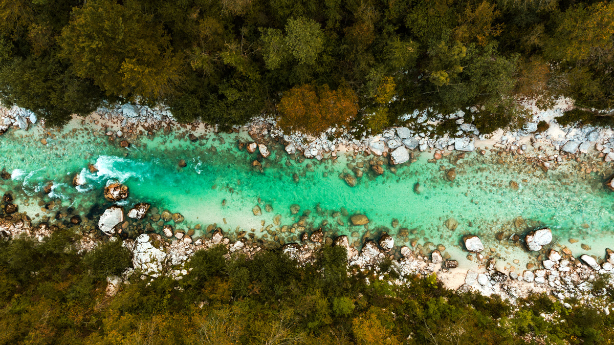 Fiume Setta dove sfocia, affluenti
